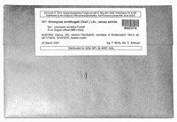 Uromyces ornithogali image